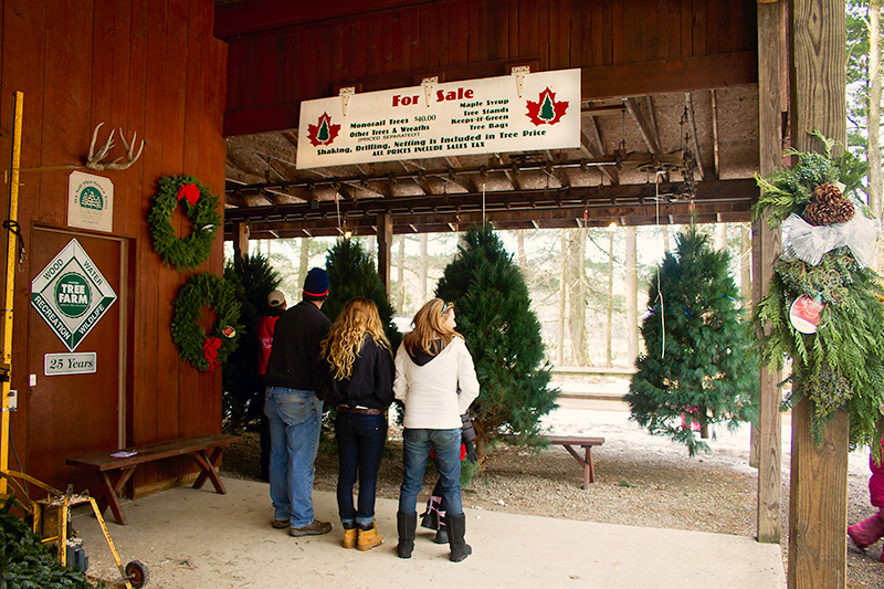 Vintage Christmas Sugar – Pepper Creek Farms