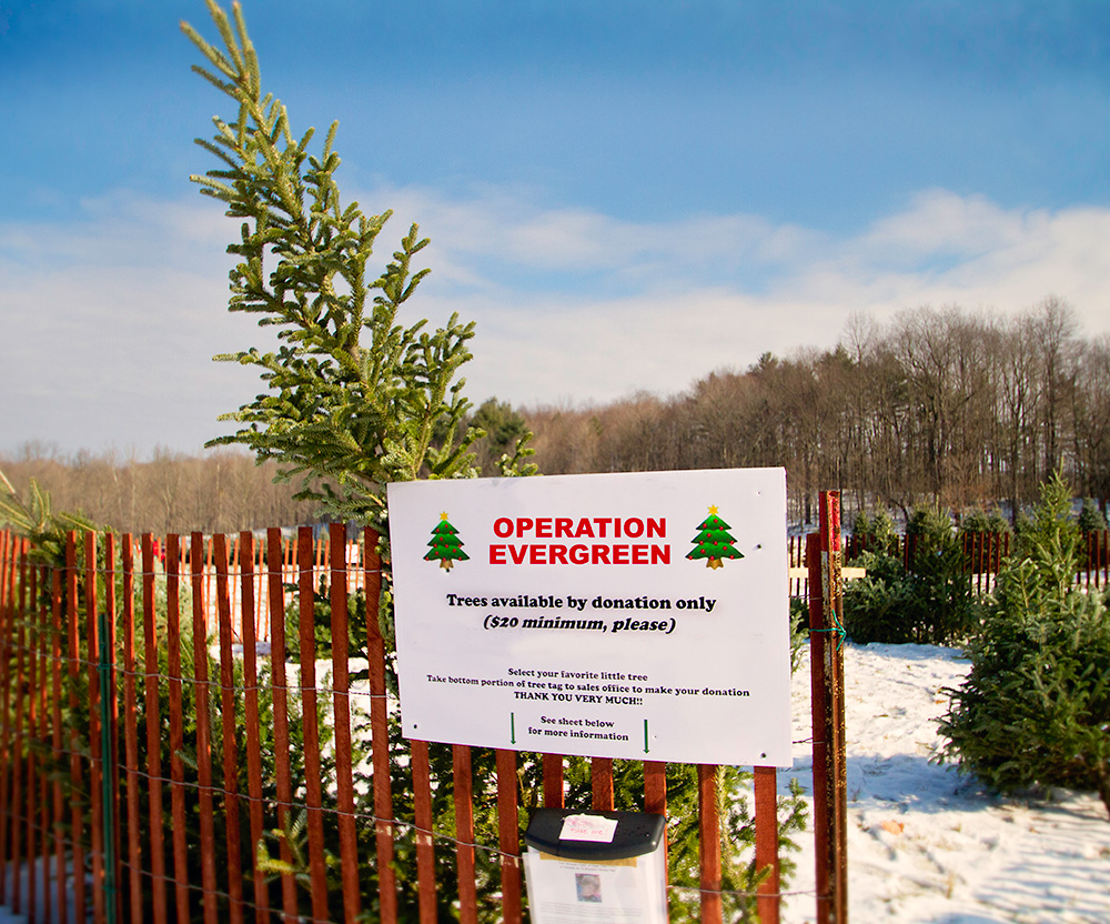 Ohio Group Collects Trees for Troops