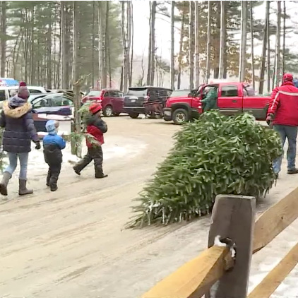 Here's where you can buy a real tree for Christmas in Northeast Ohio